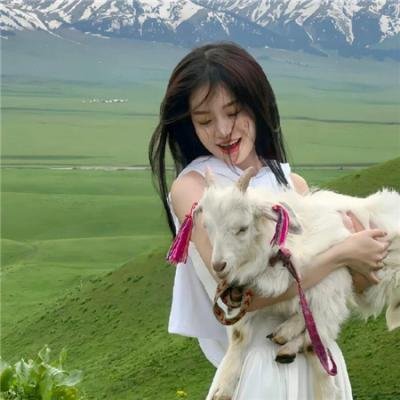 明月守护者